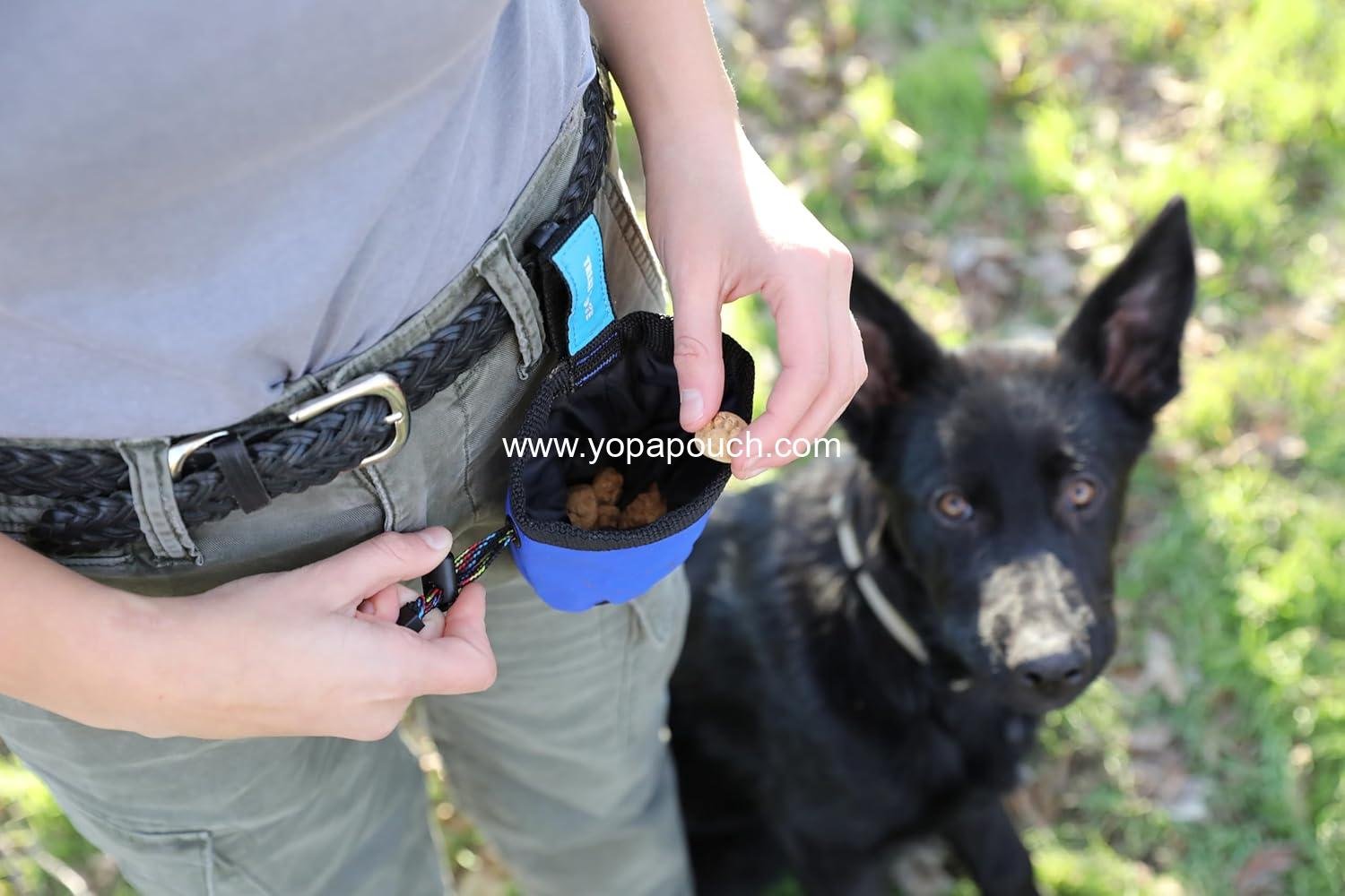 Wholesale Treat Tote Dog Treat Pouch for Puppy Training, 1 Cup Capacity, Assorted Colors Supplier