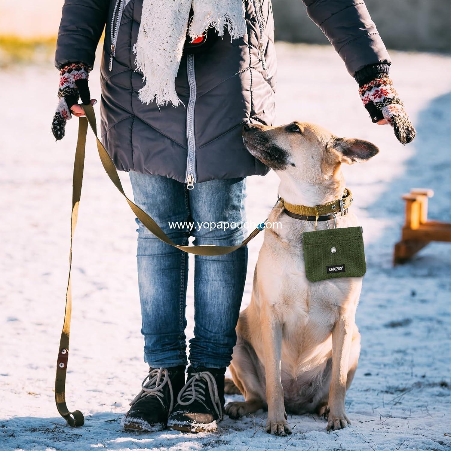 Wholesale Dog Training Pouch – Waterproof Oxford Fabric, Hands-Free Design, Carabiner Clip, Front Pocket, Self-Closing for Outdoor Walks & Puppy Training (Green) Supplier