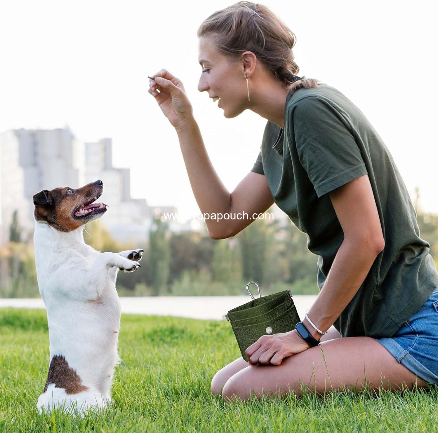 Wholesale Dog Training Pouch – Waterproof Oxford Fabric, Hands-Free Design, Carabiner Clip, Front Pocket, Self-Closing for Outdoor Walks & Puppy Training (Green) Supplier