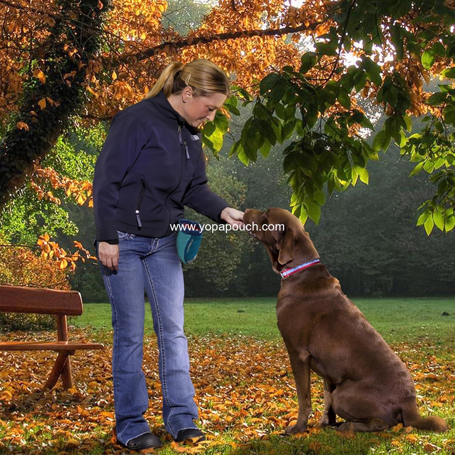 Wholesale Training Treat Pouch for Dogs - Hands-Free Waist Bag, Reflective with Carabiner (Coastal Blue) - Supplier