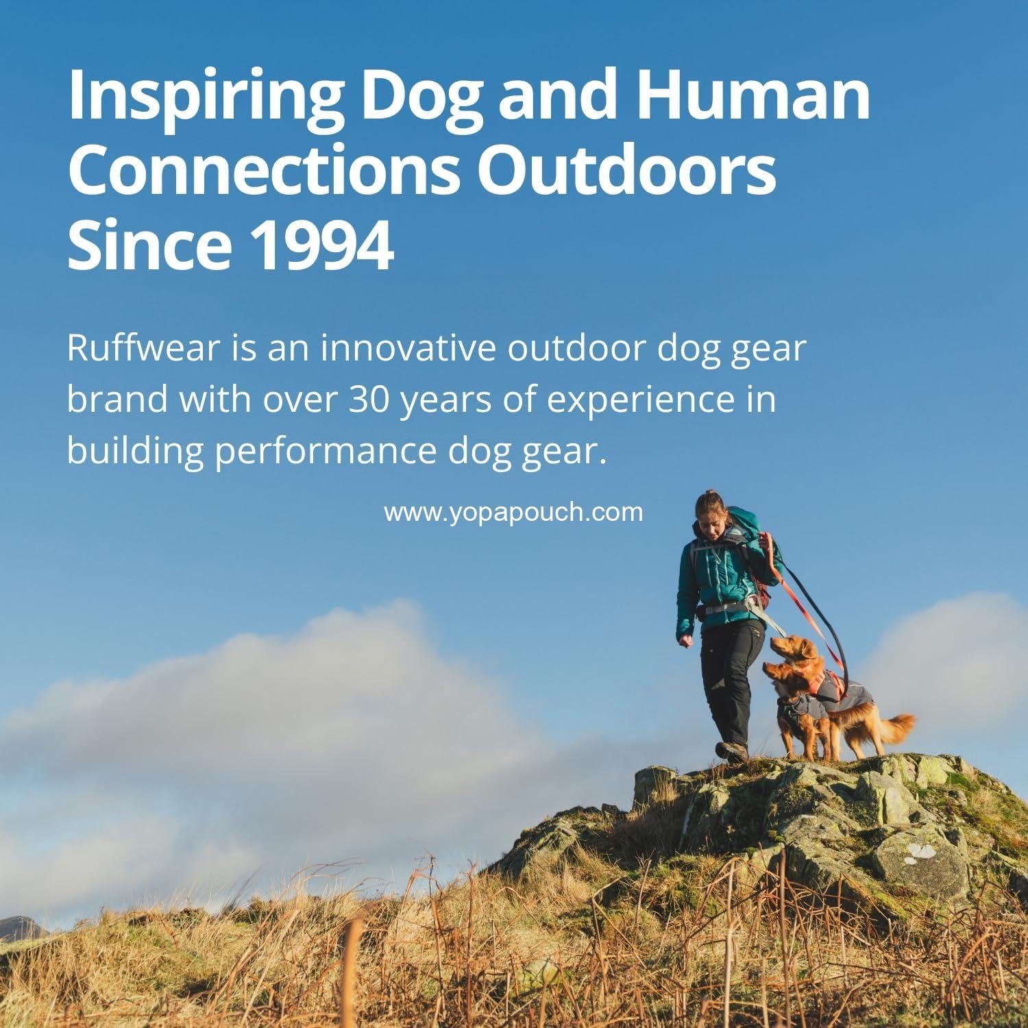 Wholesale Treat Trader Dog Treat Pouch - Hands-Free Waist-Worn with Magnetic Closure, Adjustable Belt (30-48 in) or Clip, Waterproof Food-Grade Lining, Zippered Pocket, Clicker Loop, River Rock Green - Supplier