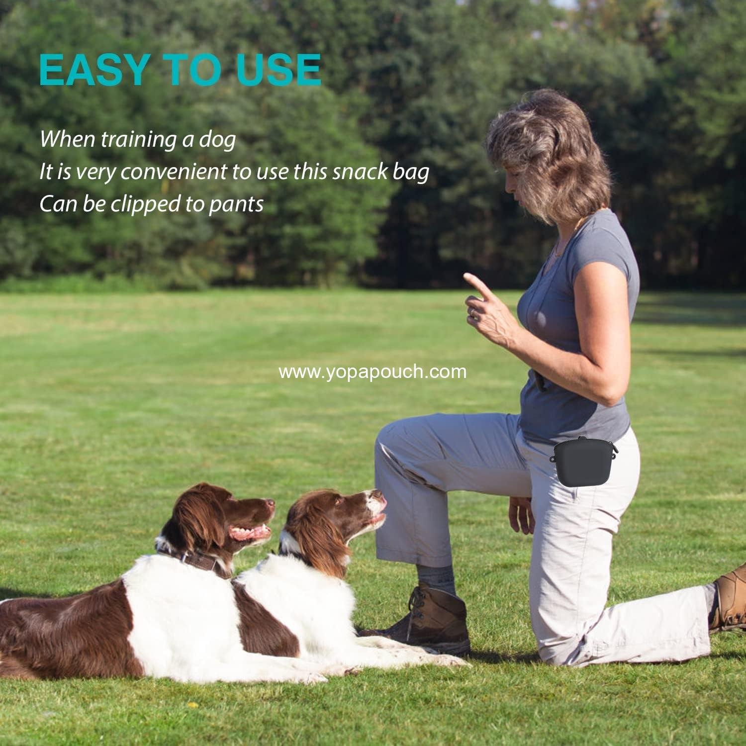 Wholesale Dog Training Treat Pouch with Clip, Portable Waterproof Puppy Treat Bag and Clicker, 8-inch Size, Supplier