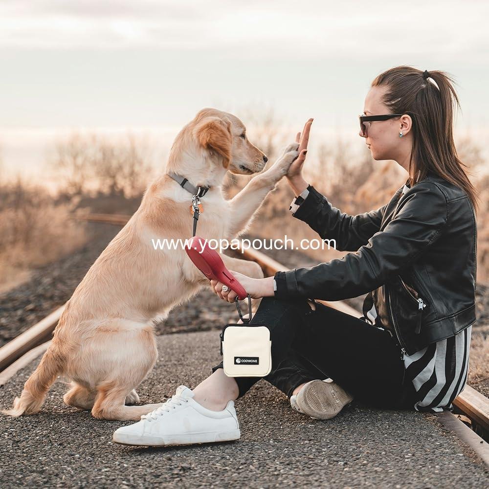 Wholesale Dog Treat Pouch 2-Pack, Waterproof Small Dog Bag for Hands-Free Walking, Includes Carabiner and Poop Bag Holder, Zipper Closure to Prevent Spills - Supplier