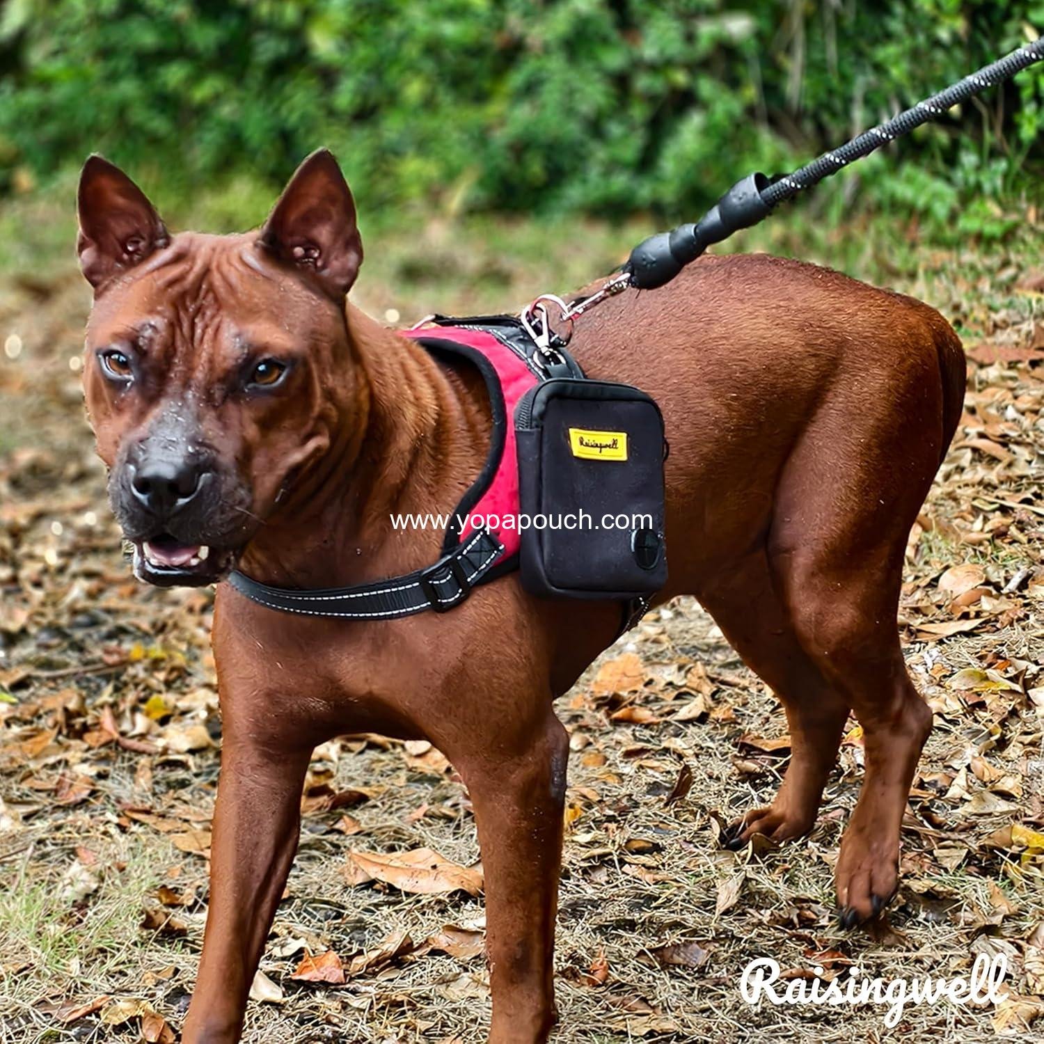 Wholesale Dog Treat Pouch for Walking and Training with Clicker and Poop Bags, Small Fanny Pack Holder for Puppy Snacks and Outdoor Use (Black) - Supplier
