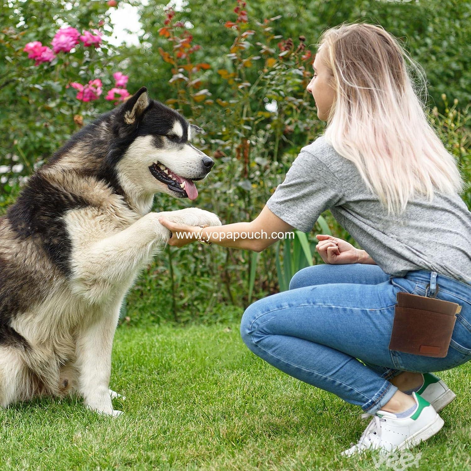 Wholesale 2PCS Upgraded Dog Treat Pouches, Portable Training Treat Bags with Durable Carabiners and Magnetic Buckles, Ideal for Pet Training (Pouch) Supplier