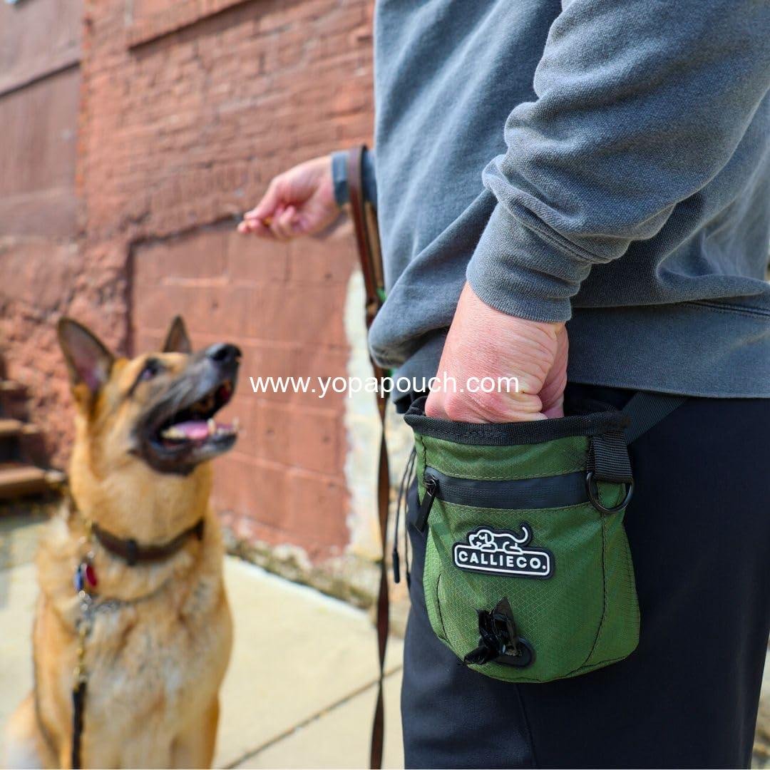Wholesale Mini Dog Treat Pouch with Magnetic & Zipper Closure | Small Waist Belt Training Bag for Dog Walking with Poop Bag Dispenser (Green) - Supplier