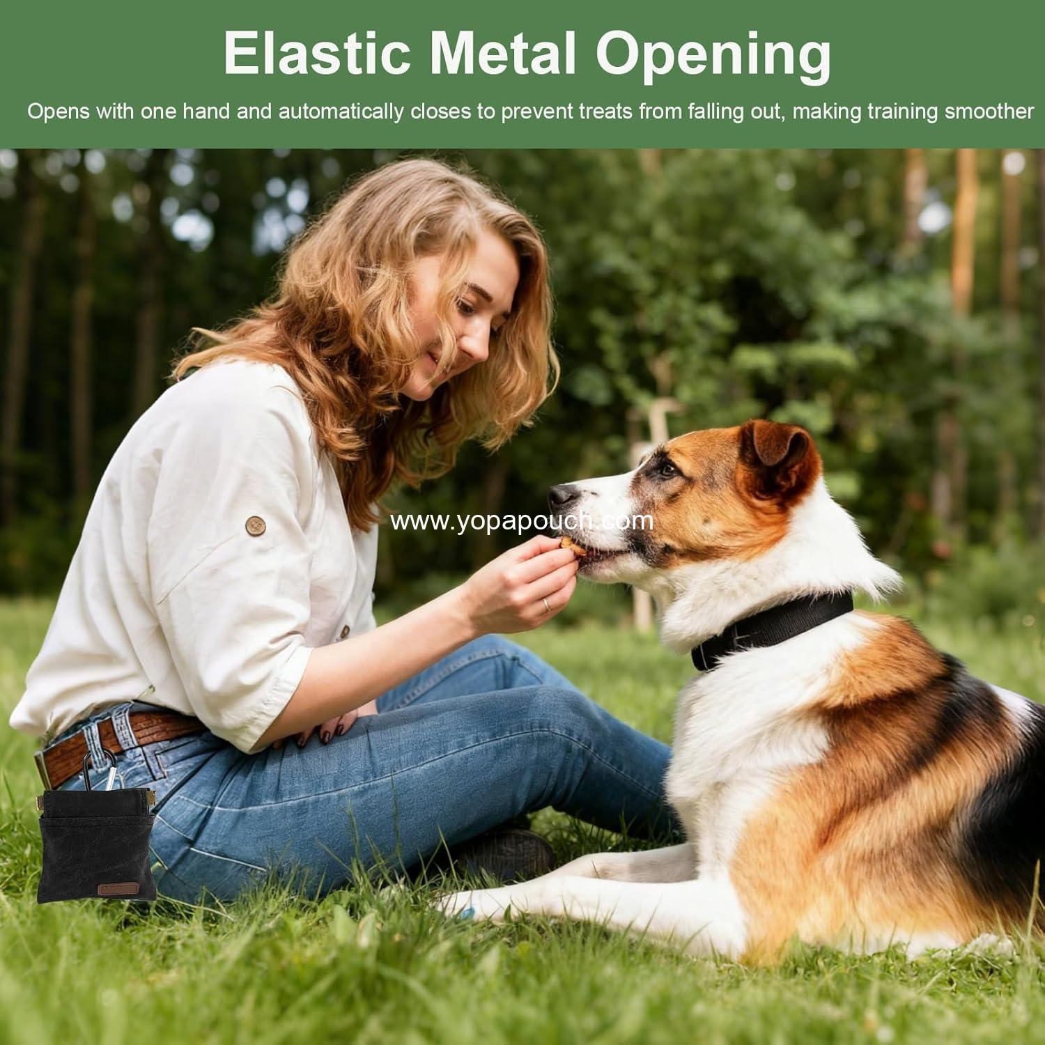 Wholesale Dog Treat Pouch 2Pcs, Portable Auto Closing Bag with Carabiner for Training, Travel, or Outdoor Use Black Green - Supplier