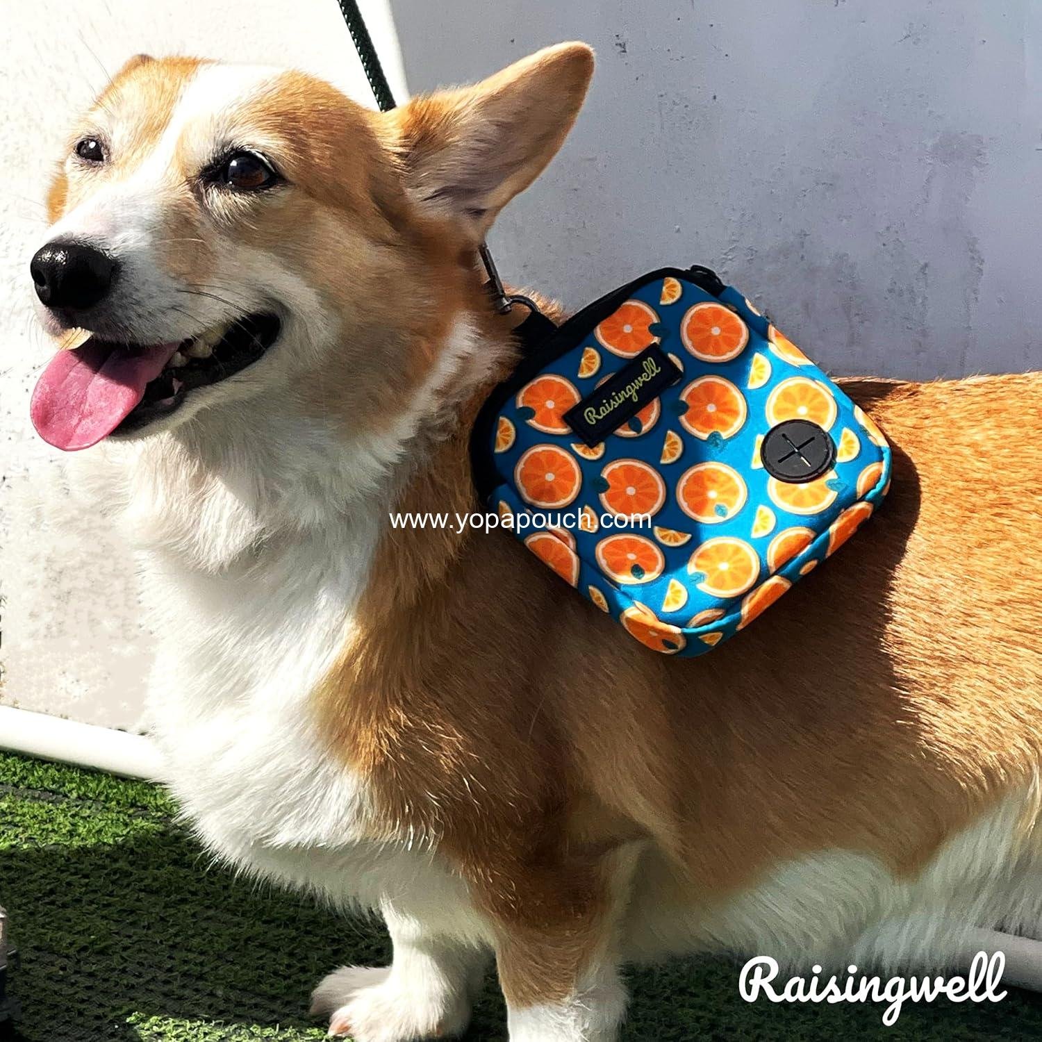 Wholesale Dog Treat Pouch for Walking and Training with Clicker, Poop Bags, Small Fanny Pack, Zipper Holder, Puppy Snack Dispenser Kit for Leash and Outdoor Use (Fruit Orange) Supplier
