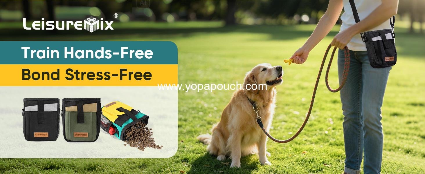 Wholesale Dog Treat Pouch with Collapsible Bowl and Zippered Pockets, Hands-Free Training Bag for Dogs, Waterproof Pet Waist Bag with Adjustable Strap for Training and Outdoor Use (Black) Supplier