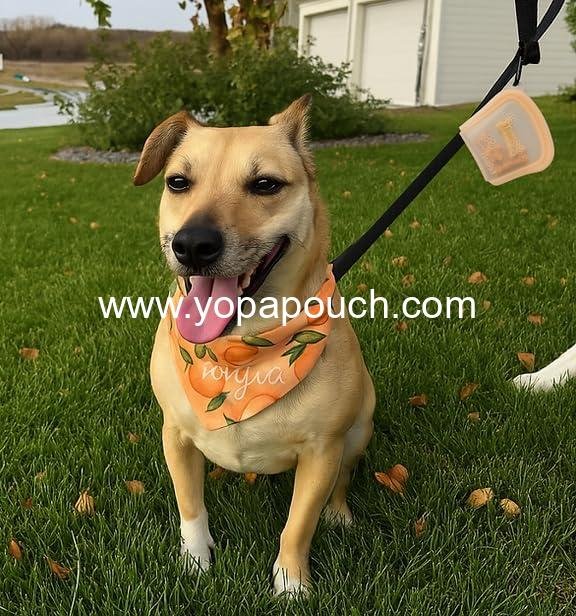 Wholesale Reusable Silicone Dog Treat Bag 3-Pack, Leakproof Pouches for Dogs and Cats, Dishwasher & Microwave Safe, BPA-Free, Plastic-Free, Multi-Color Supplier