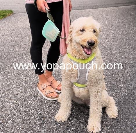 Wholesale Reusable Silicone Dog Treat Bag 3-Pack, Leakproof Pouches for Dogs and Cats, Dishwasher & Microwave Safe, BPA-Free, Plastic-Free, Multi-Color Supplier