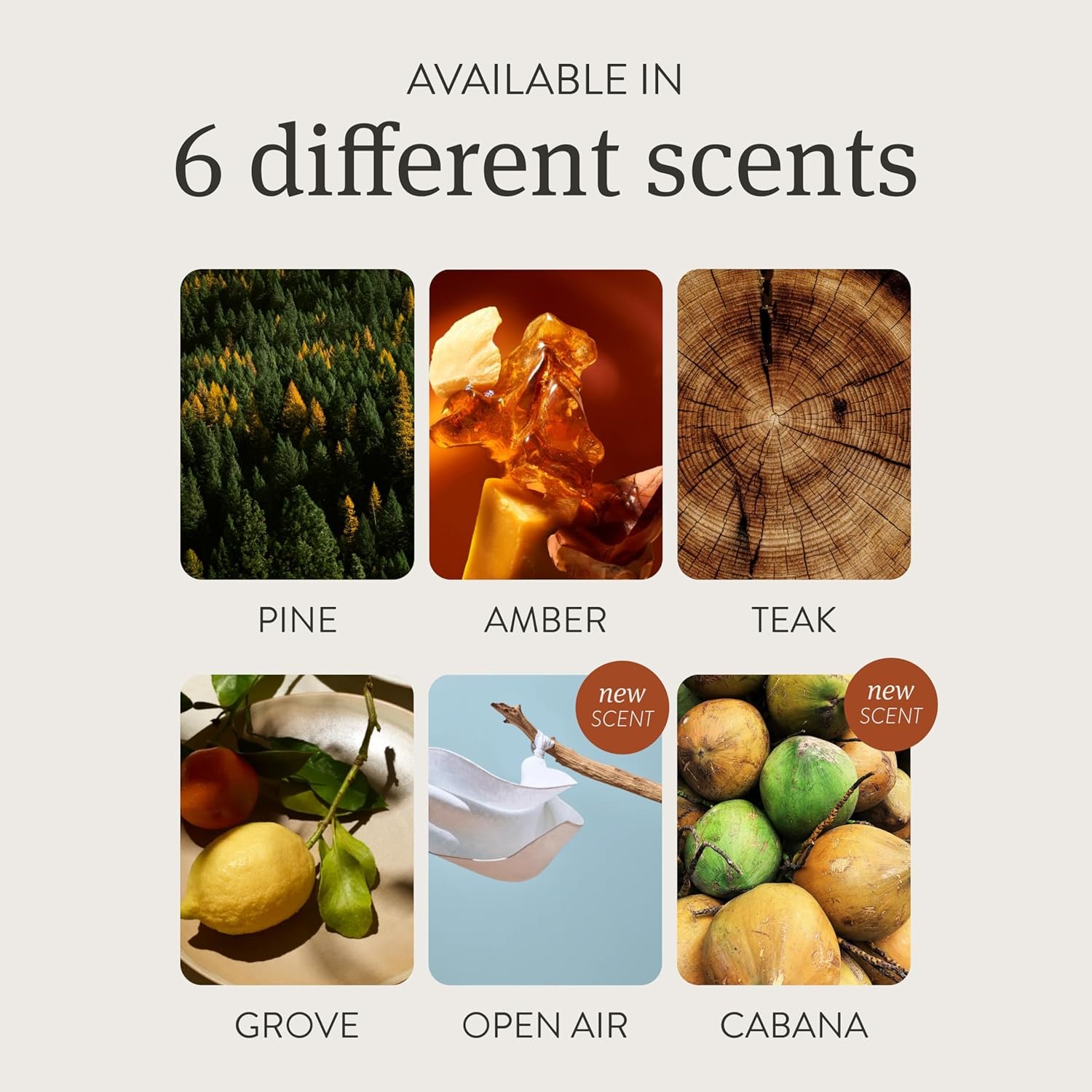 Private Label Stone Car Air Freshener - Manufacturer Car Odor Eliminator Long Lasting Scent Auto Accessories Metal Clip Essential Oils Clean Ingredients - Custom Logo Amber Scent Starter Kit Private Label Stone Car Air Freshener - Manufacturer Car Odor Eliminator Long Lasting Scent Auto Accessories Metal Clip Essential Oils Clean Ingredients - Custom Logo Amber Scent Starter Kit