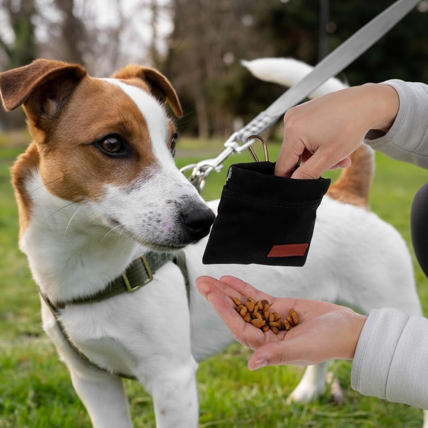 Custom Logo Black Hand-Free Dog Treat Pouch Auto-Closing Portable Puppy Training Reward Bag Private Label with Carabiner from Factory for Travel and Outdoor Use
