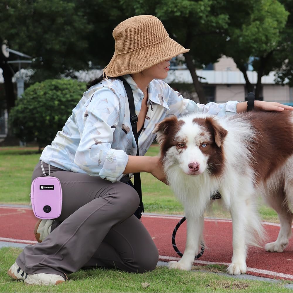 Custom Logo Small Treat Pouch with Dog Bag Dispenser Private Label Portable Walking Bags Purple Supplier