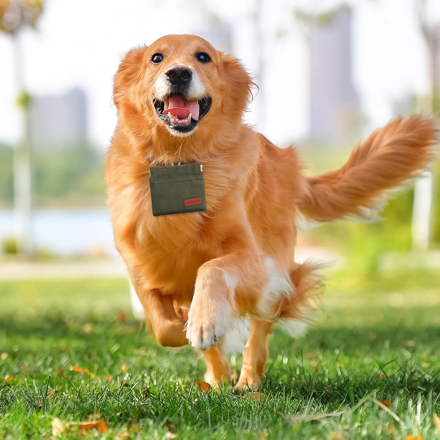 Private Label 2PC Dog Treat Pouch, Custom Logo Training Treat Reward Bag, Portable Hand Free Puppy Walking Auto Closing Dispenser Behavior Aids for Outdoor Travel Supplier (Grey+Khaki)