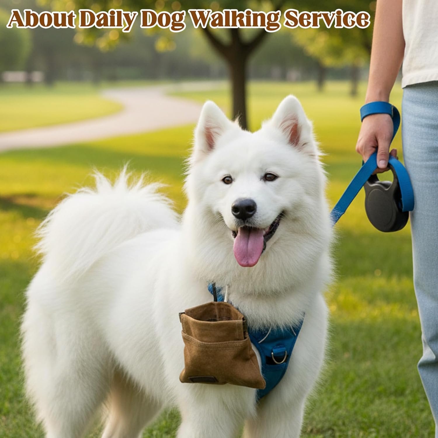 Custom Logo 2Pcs Hands-Free Dog Treat Pouch with Carabiner, Portable Auto-Closing Puppy Snack Bag for Walking Training Private Label Manufacturer Brown & Grey