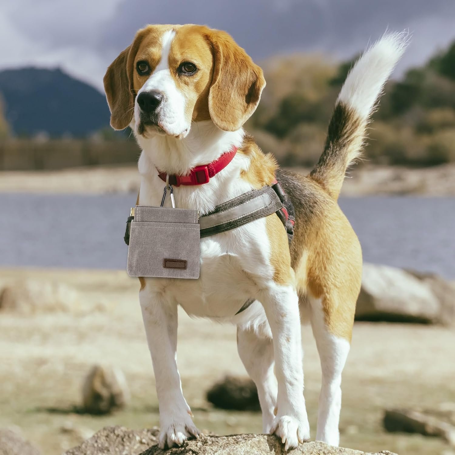 Custom Logo Portable Dog Treat Pouch, Private Label Auto-Closing Hands-Free Pet Training Reward Bag Manufacturer for Outdoor Walking, Gray