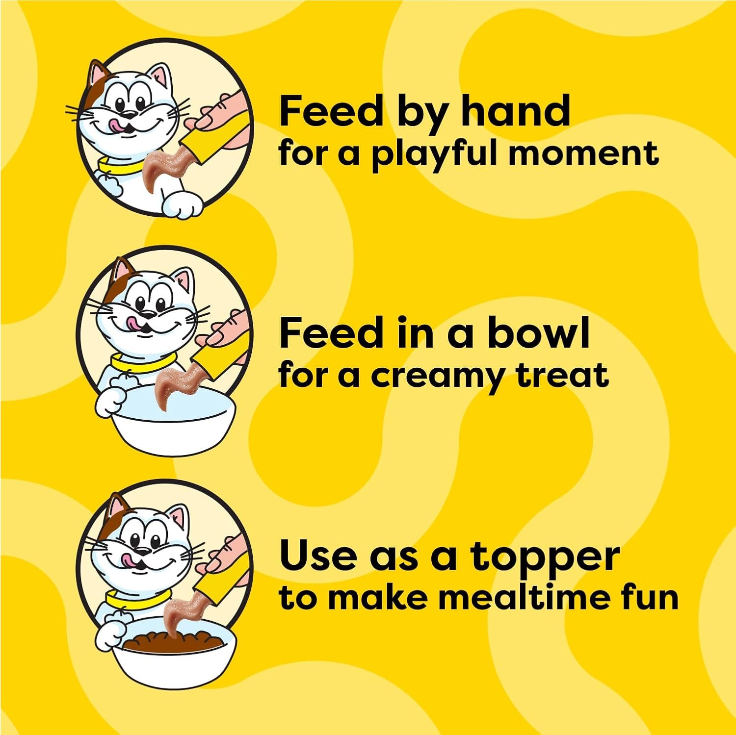 Private Label Lickable Puree Kitten Treats Chicken and Salmon Variety Pack Custom Logo 24 Pouches Manufacturer