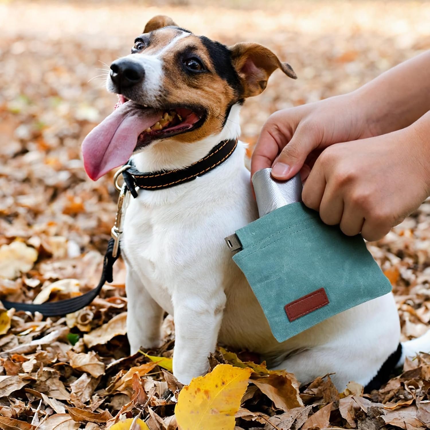 Private Label Hands-Free Pocket-Sized Dog Treat Training Pouch Manufacturer Small Pet Reward Bag with Carabiner Auto-Closing Portable Pocket for Walking Travel Outdoor Use Custom Logo Blue