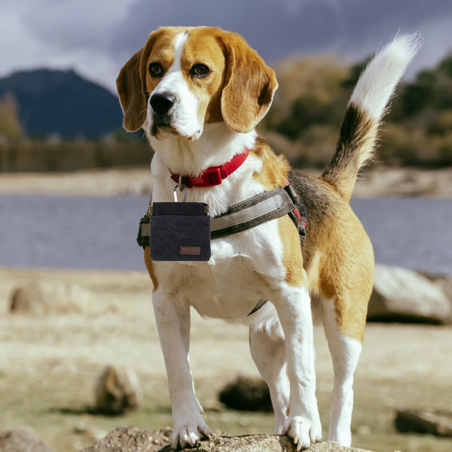 Private Label Dog Training Pouch with Belt Clip Custom Logo Adjustable Waist Treat Bag for Dog Walking Obedience Classes Hiking Portable Pet Snack Dispenser Manufacturer for Puppy Rewards Park Visits Training Accessories