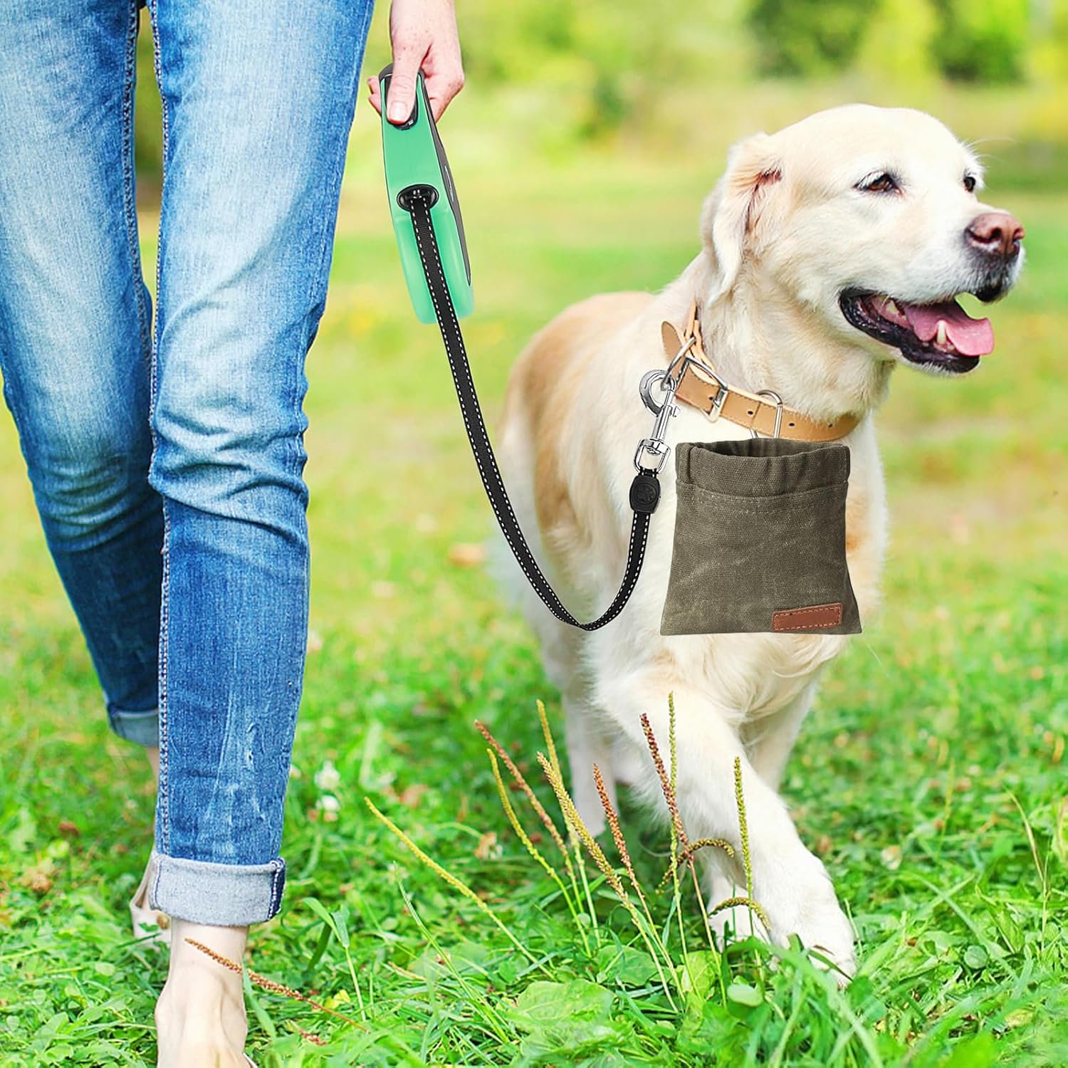 Private Label Dog Training Treat Pouch with Custom Logo Auto-Closing Lid Hands-Free Leash Clip Bag for Puppy Obedience Portable Pet Reward Snack Holder for Walking Hiking and Outdoor Adventures Manufacturer