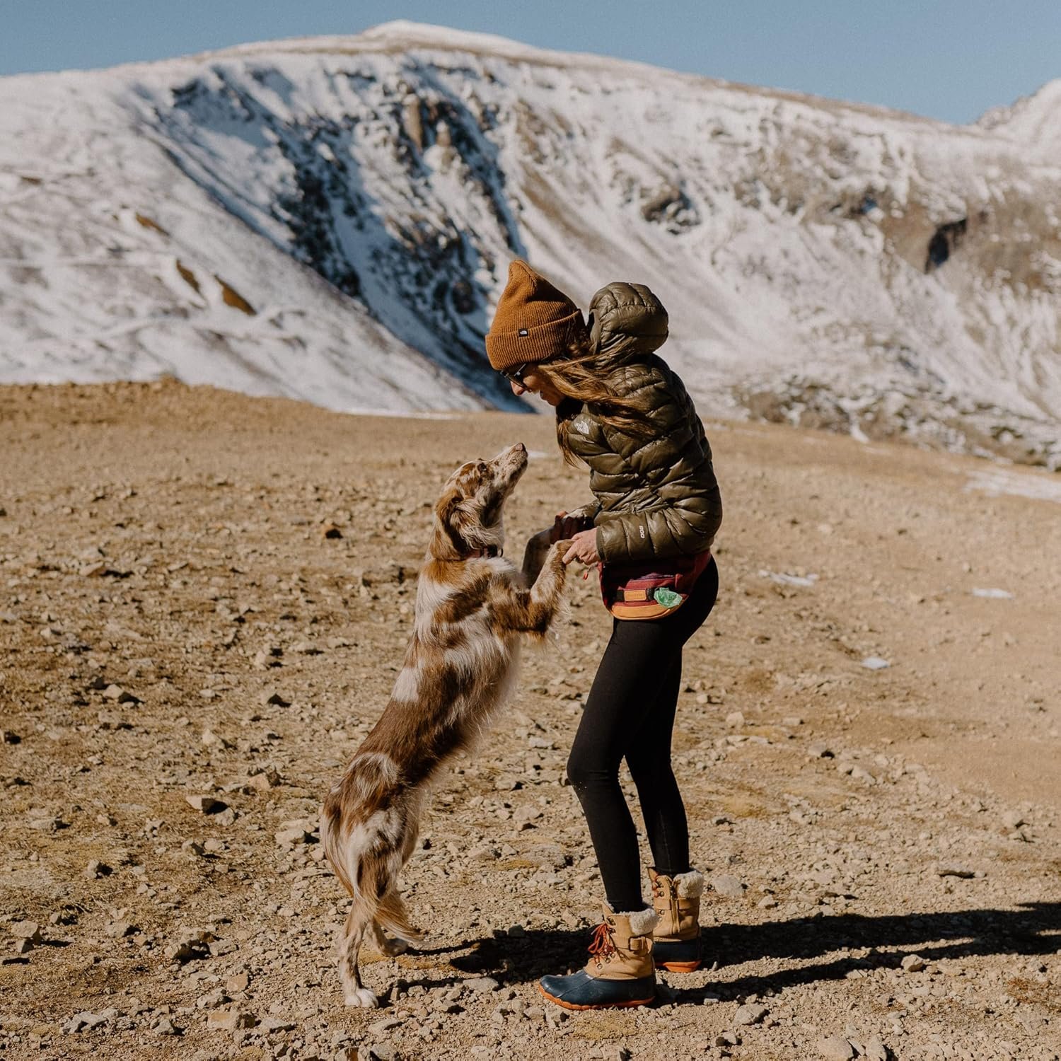 Private Label Utility Fanny Pack with Custom Logo 3 Pockets for Treats Balls Keys Adjustable Strap and Poop Bag Dispenser by Manufacturer